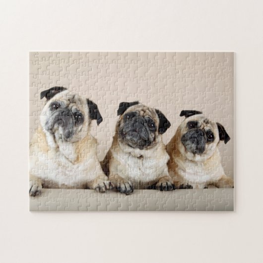 Drie pugs in rij legpuzzel (Horizontaal)