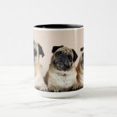 Drie pugs in rij mok (Midden)