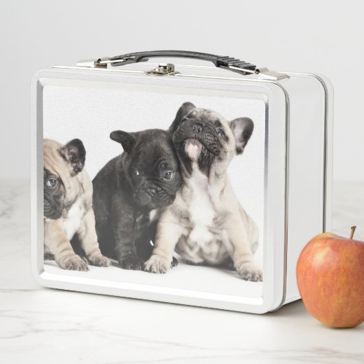 Drie Puppies (In situ)