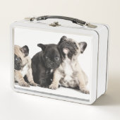 Drie Puppies (Voorkant)