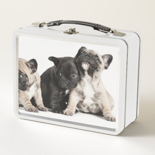 Drie Puppies (Voorkant)