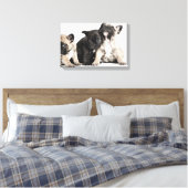 Drie Puppies Canvas Afdruk (Insitu (Slaapkamer))