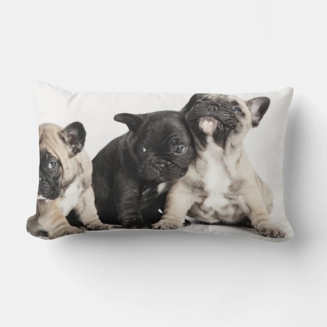 Drie Puppies Kussen (Voorkant)