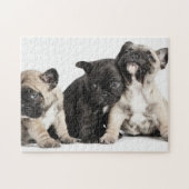 Drie Puppies Legpuzzel (Horizontaal)