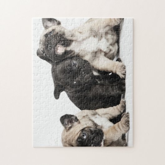 Drie Puppies Legpuzzel (Verticaal)