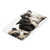Drie Puppies Magneet (Linkerzijde)
