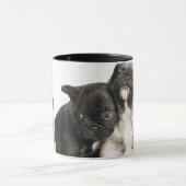 Drie Puppies Mok (Midden)