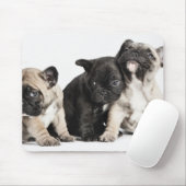 Drie Puppies Muismat (Met muis)