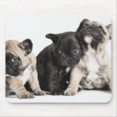 Drie Puppies Muismat (Voorkant)