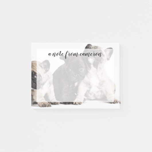 Drie Puppies Post-it® Notes (Voorkant)