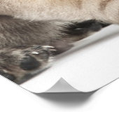 Drie Puppies Poster (Hoek)