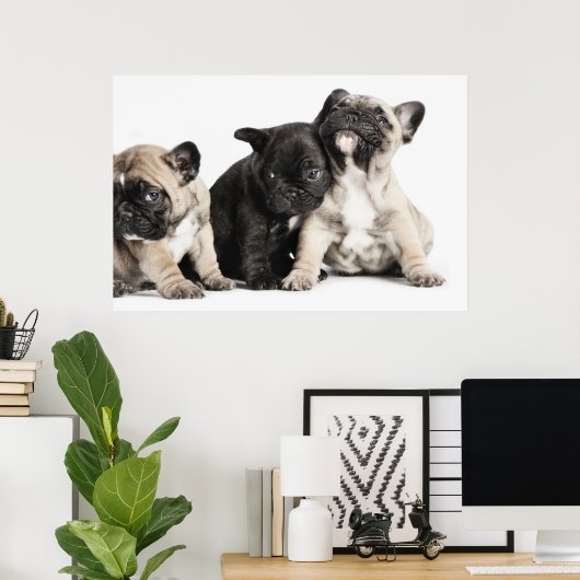 Drie Puppies Poster (Thuiskantoor)