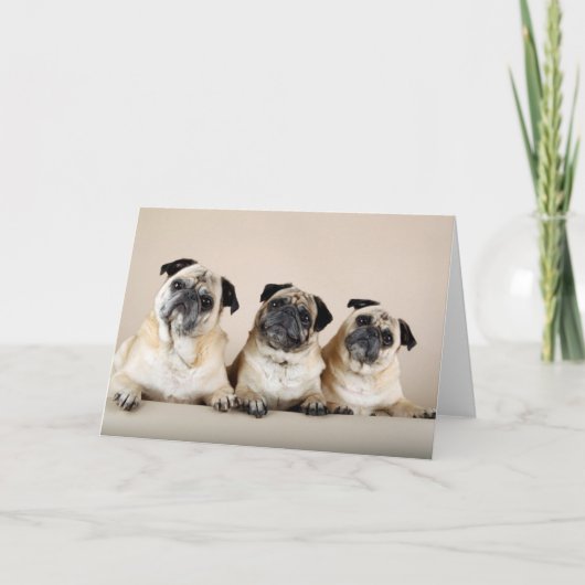 Drie pups in een rij kaart (Voorkant)