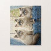 Drie Ragdoll katten Legpuzzel (Verticaal)