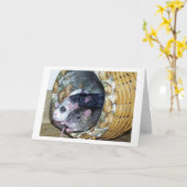 Drie Ratten in een Mand Kaart (Gele Bloem)