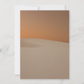 Drie Rex Dinosaur 3e verjaardag uitnodiging (Achterkant)