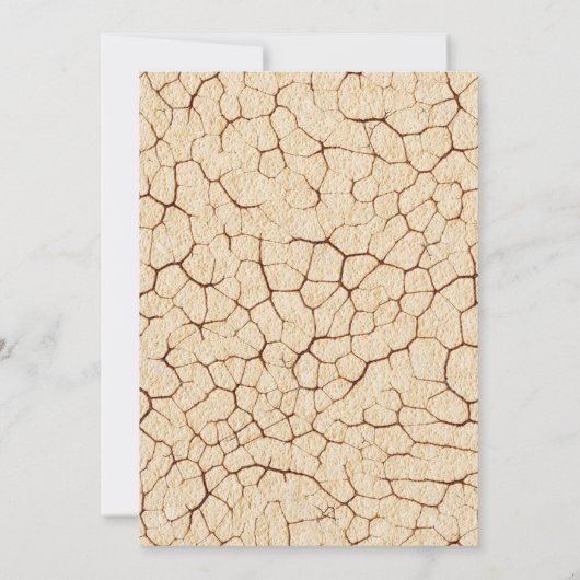 Drie Rex Dinosaurus Verjaardag Uitnodiging (Achterkant)