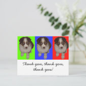 Drie rode Tri Aussie Puppies Briefkaart (Staand voorkant)
