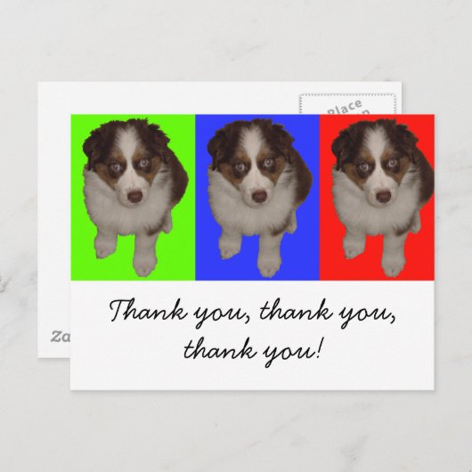 Drie rode Tri Aussie Puppies Briefkaart (Voorkant / Achterkant)