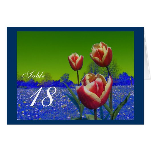 Drie rode tulp bloemen eettafel nummertjes. (Voorkant Horizontaal)
