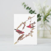Drie rode vogels in de winter in Audubon's Paarse  Briefkaart (Staand voorkant)