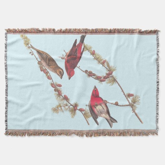 Drie rode vogels in de winter in Audubon's Paarse  Deken (Voorkant)