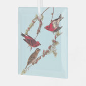 Drie rode vogels in de winter in Audubon's Paarse  Glas Ornament (Voorkant links)
