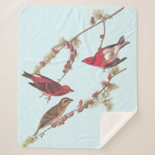 Drie rode vogels in de winter in Audubon's Paarse Sherpa Deken