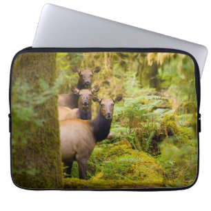 Drie Roosevelt-elandkoeien die uitzicht bekijken Laptop Sleeve