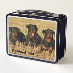 Drie rottweiler-honden - Doos met rotaties