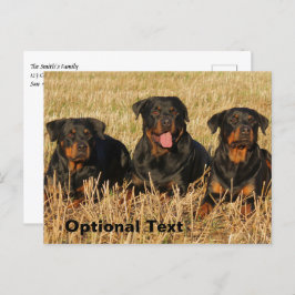 Drie rottweiler-honden - Doos met rotaties Briefkaart