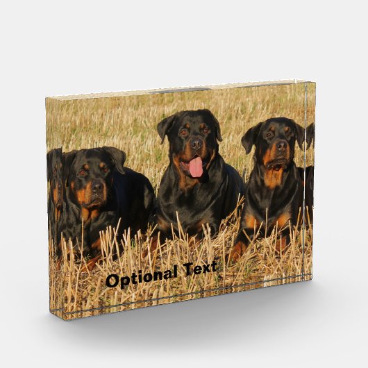 Drie rottweiler-honden - Doos met rotaties Fotoblokken (Links)