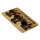 Drie rottweiler-honden - Doos met rotaties Magneet (Rechterzijde)