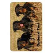 Drie rottweiler-honden - Doos met rotaties Magneet (Verticaal)