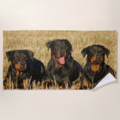 Drie rottweiler-honden - Doos met rotaties Strandlaken (Voorkant)