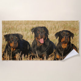 Drie rottweiler-honden - Doos met rotaties Strandlaken