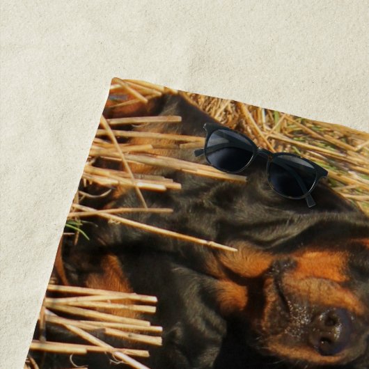 Drie rottweiler-honden - Doos met rotaties Strandlaken (In situ)