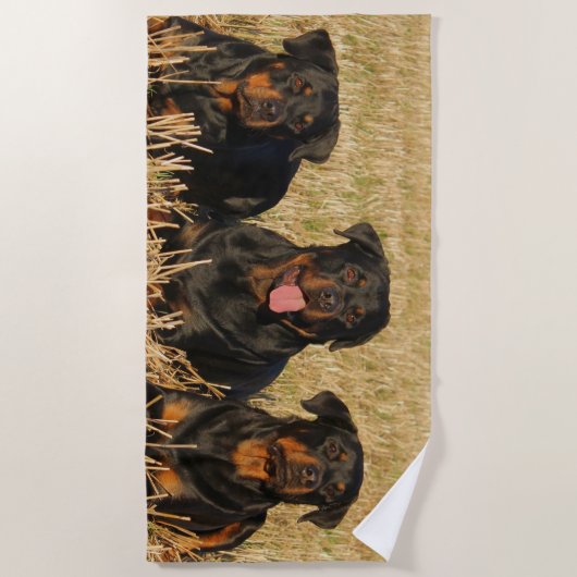Drie rottweiler-honden - Doos met rotaties Strandlaken (Voorkant)