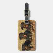 Drie Rottweiler Honden - Meute van Rotties Bagagelabel (Voorkant verticaal)