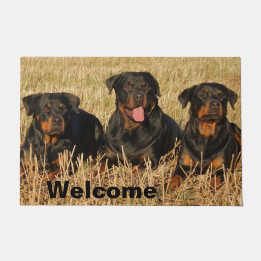 Drie rottweiler-honden - pakket rotaties - Welkom Deurmat (Voorkant)