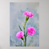 Drie Roze Anjers Bloem Tuin Kunst Poster (Voorkant)