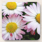 Drie roze en witte zeeschildpadden bier onderzetter (Voorkant)