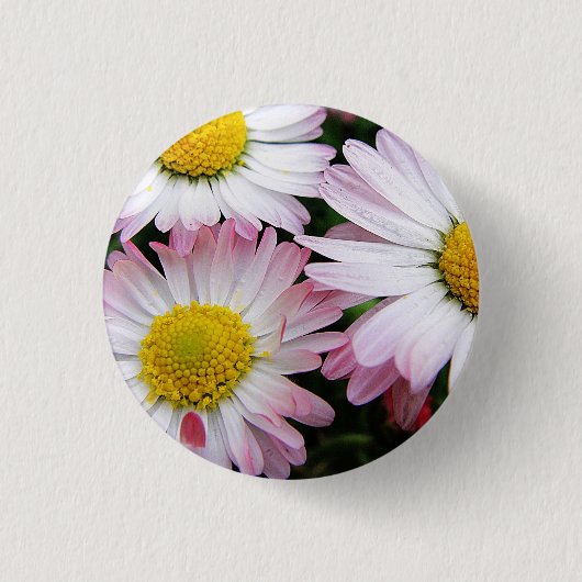 Drie roze en witte zeeschildpadden ronde button 3,2 cm (Voorkant)