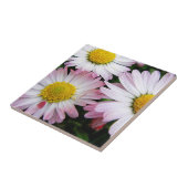 Drie roze en witte zeeschildpadden tegeltje (Zijkant)