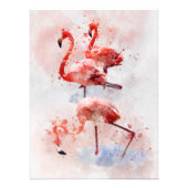 Drie roze flamingo's Waterverf Foto Afdruk (Voorkant)