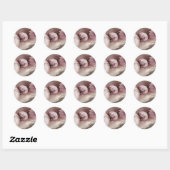Drie roze kosmos ronde sticker (Vel)