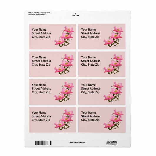 Drie Roze Poppy Flowers Border Etiket (Full Sheet)