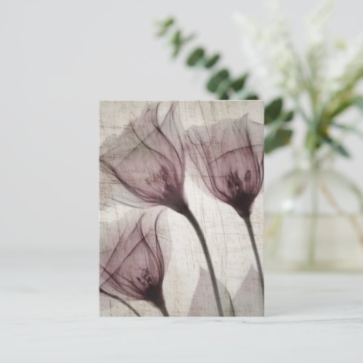 Drie roze  röntgenbloemen briefkaart (Staand voorkant)