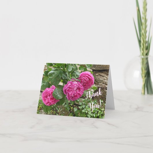 Drie roze rozen/Dank je! Notitiekaartje (Voorkant)