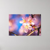 Drie roze Sakura Blossom Canvas Afdruk (Voorkant)